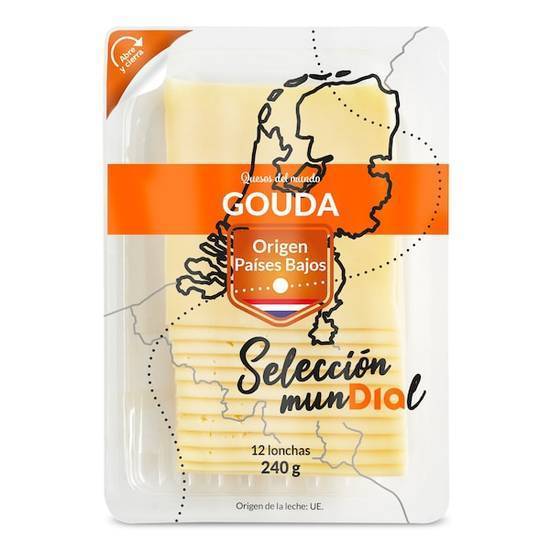 Queso gouda Selección MunDíal en Sobre 240 g