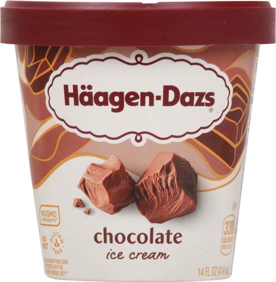 Häagen-Dazs Chocolate Ice Cream