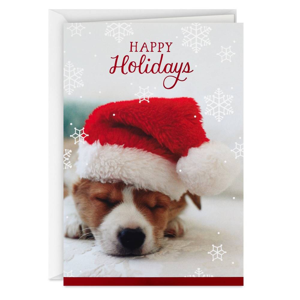 Image Arts Santa Puppy Holiday Dreams Boxed Christmas Cards, Pack Of 16