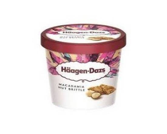 Häagen Dazs 100ml