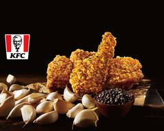 ケンタッキーフライドチキン すすきのノルベサ店 KFC