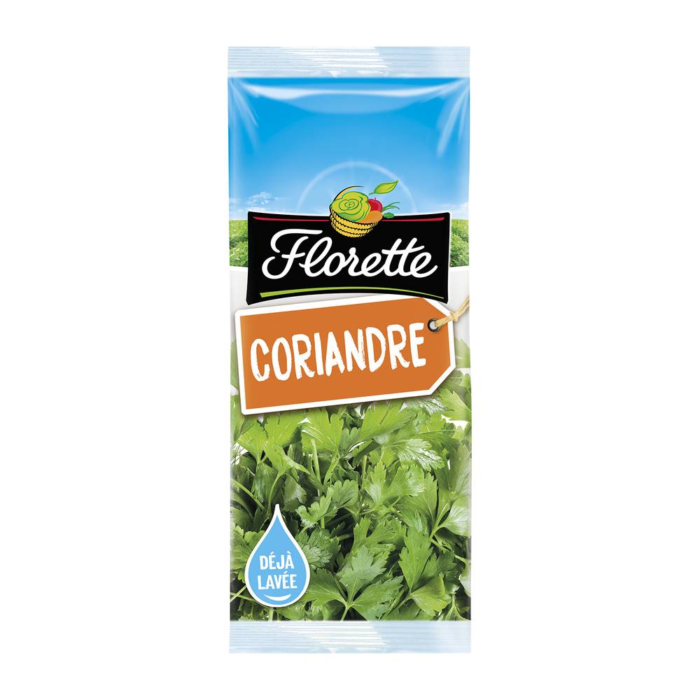 Florette - Coriandre déjà lavée