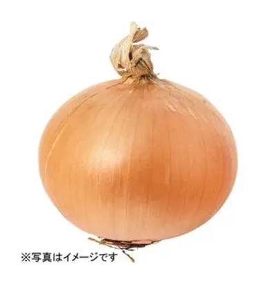玉ねぎ 1個