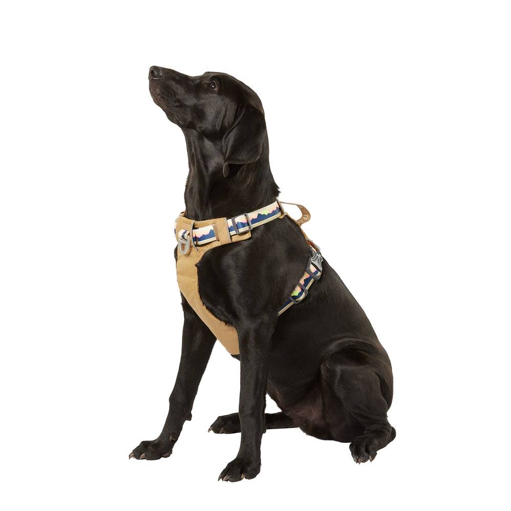 Arcadia Trail ™ Lightweight Dog Harness (Color: Tan, Size: Medium)
