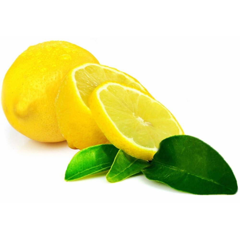 Citron jaune primofiori