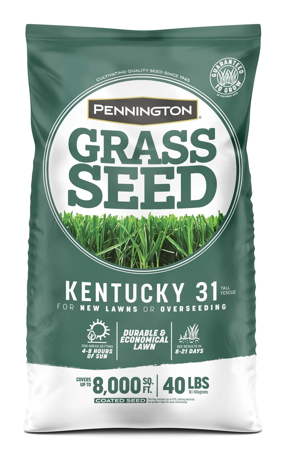 Pennington 100 Kentucky 31 40-lb Tall Fescue Grass Seed
