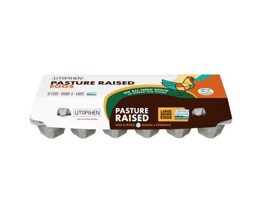 Utopihen Grade a Pasture Raised Eggs, Large (24 oz, 24 ct)