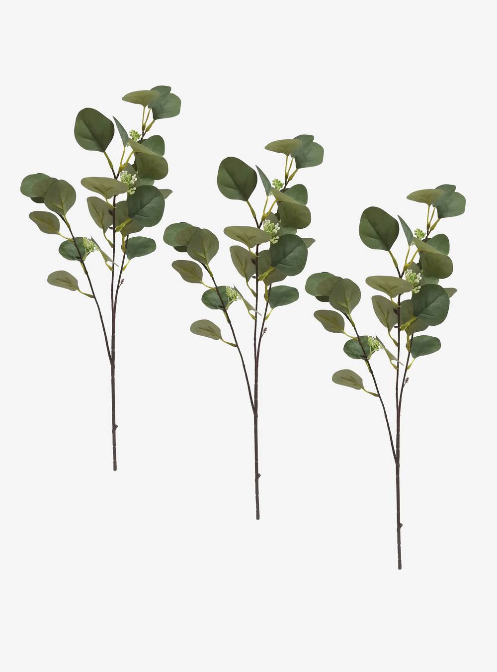 Sarah miller ramo eucaliptus (49 cm)