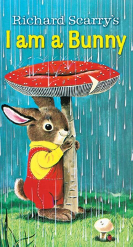 I Am a Bunny Board Book By Ole Risom