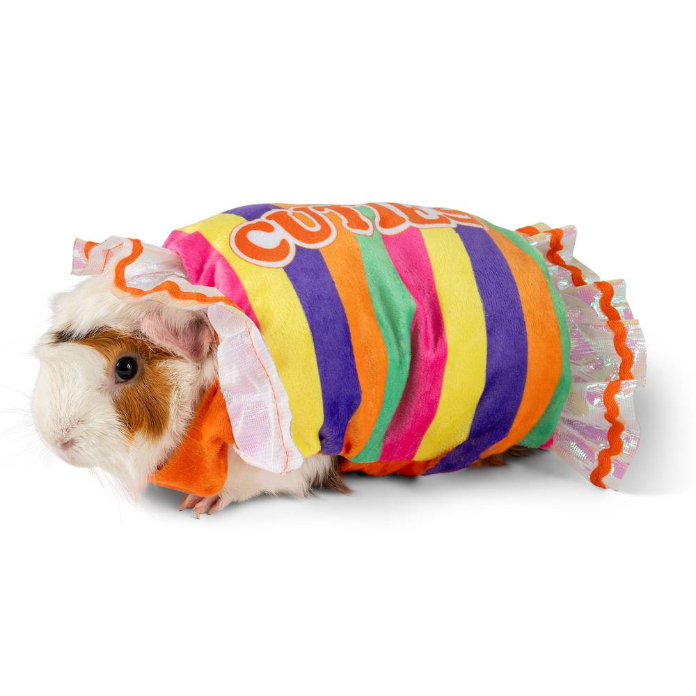 Thrills & Chills Candy Small Pet Costume