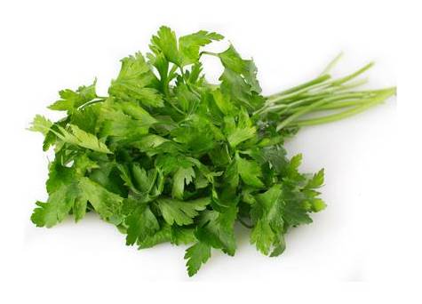 COENTROS BIO - EMB 30G