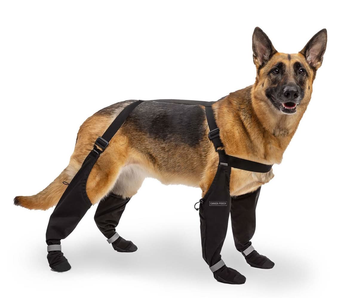 Canada Pooch Suspender Long Black Boots, 2