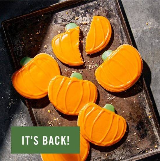 Pumpkin Cookie 6-Pack