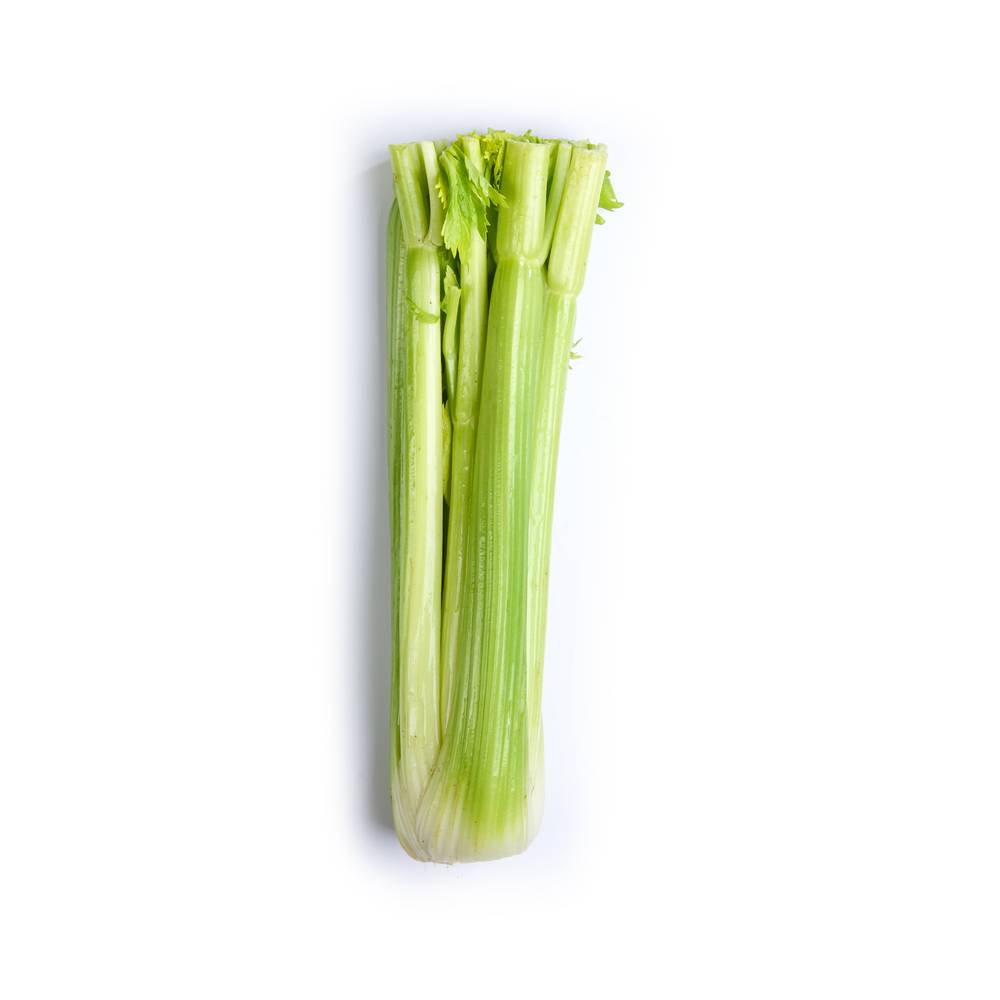 Celery 1 Bunch