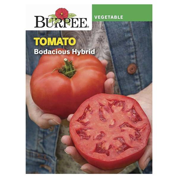 Tomato, Bodacious Hybrid