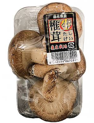 使い切り生椎茸（菌床栽培）（国内産）　１パック４個入