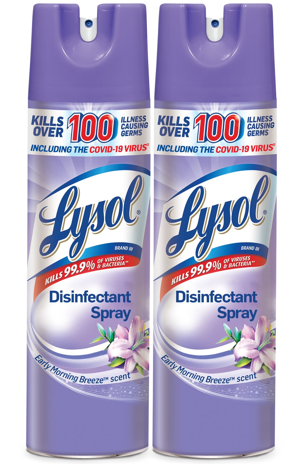 Lysol Disinfectant Spray, Early Morning Breeze (38 fl oz, 2 ct)