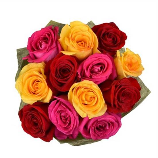 Rainbow Roses (1 dozen)