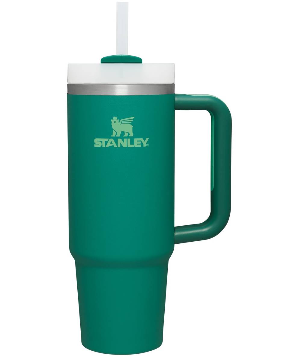 Stanley Quencher 30-fl oz Stainless Steel Insulated Tumbler | 10-10827-094