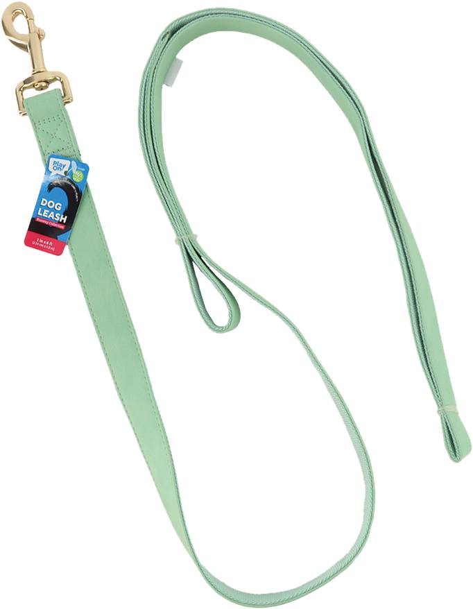 Play On Faux Leather Dog Leash, Mint, 1 Inch x 6 Feet