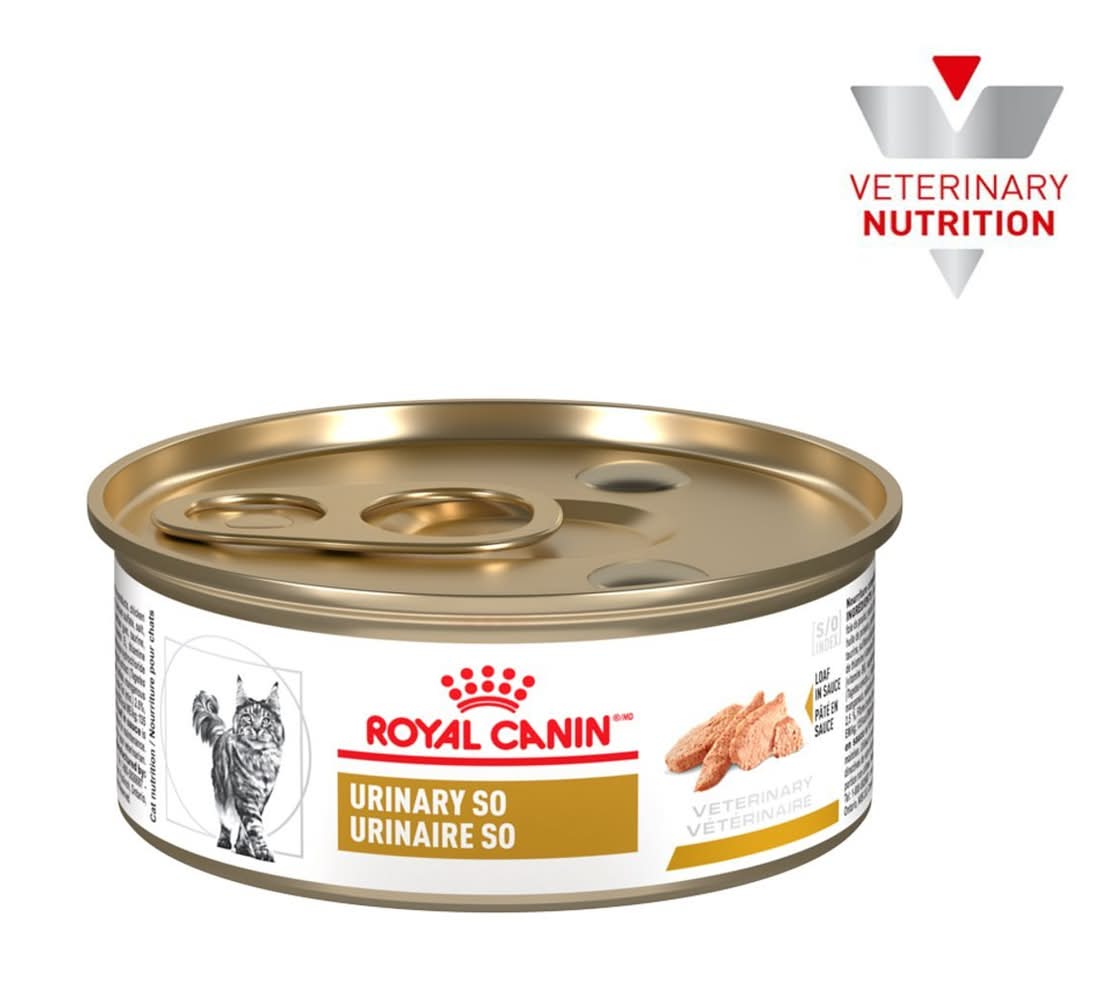 Royal Canin · Veterinary alimento húmedo urinary so para gatos, Adulto (145 g)