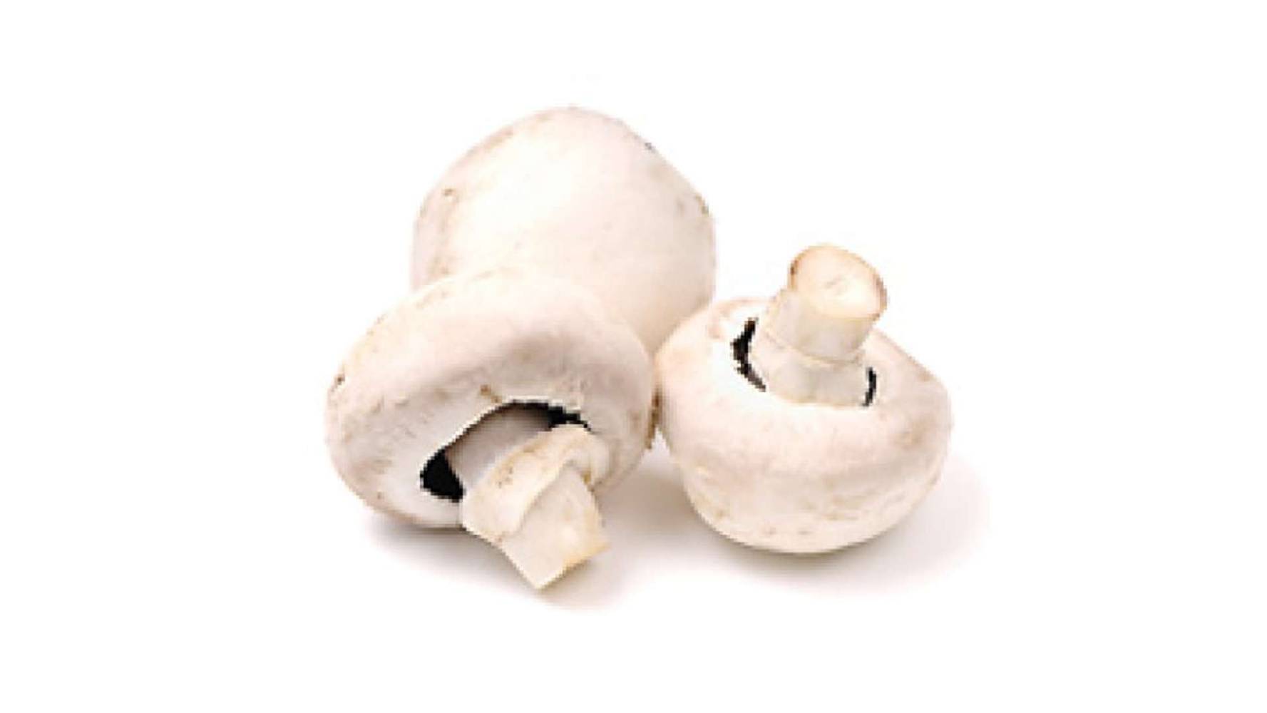 Champignon petits prix La barquette de 200g