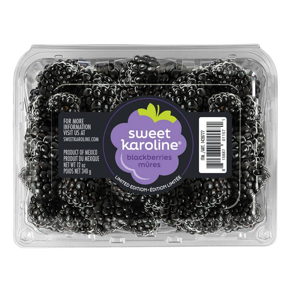 Sweet Karoline Blackberries, 12 oz