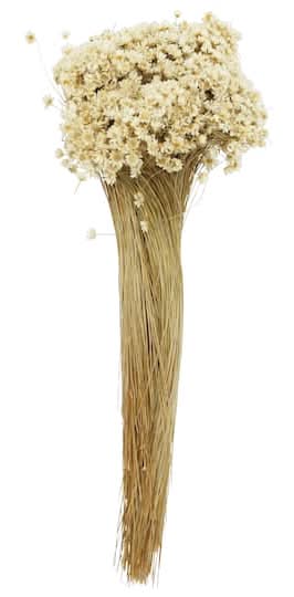 Ashland Natural Campo Flowers, 13 in