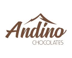 Chocolate Andino (Santiago)