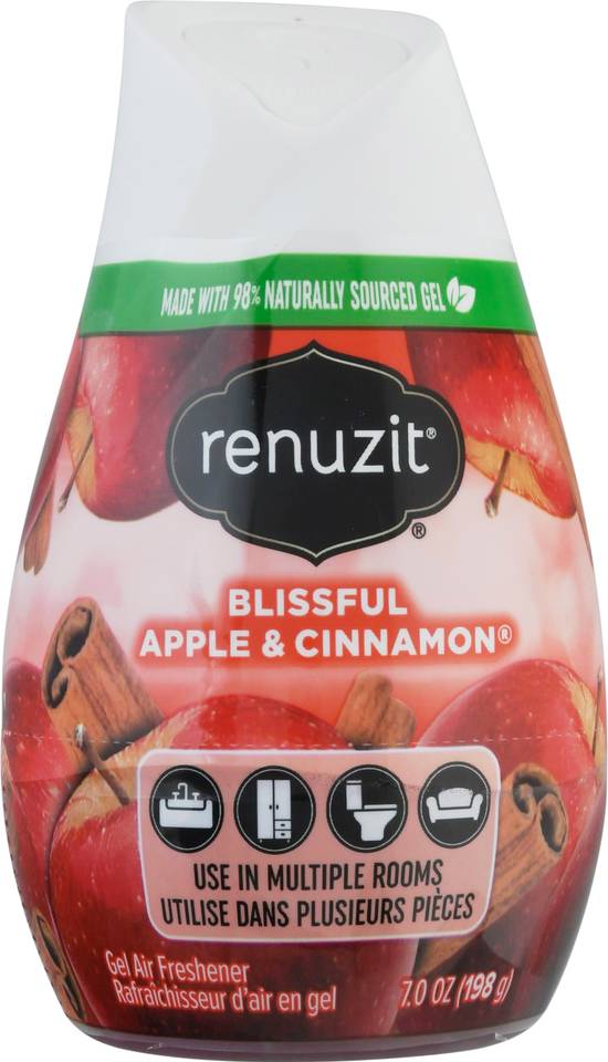 Renuzit Blissful Apple & Cinnamon Air Freshener Gel