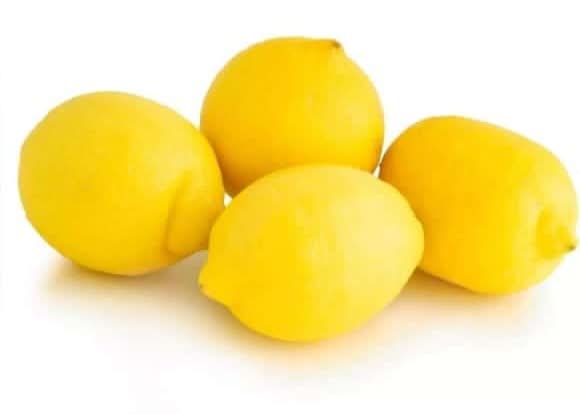 Citrons Sans Pepin Le Filet De 4 Fruits