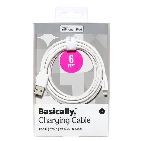 Basically, 6' Lightning to USB-A Charging Cable