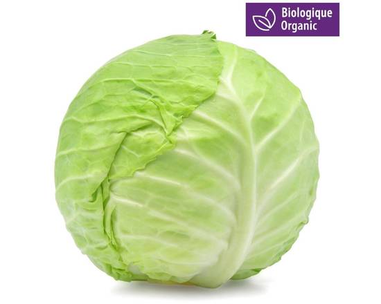 Chou vert biologique - Organic green cabbage