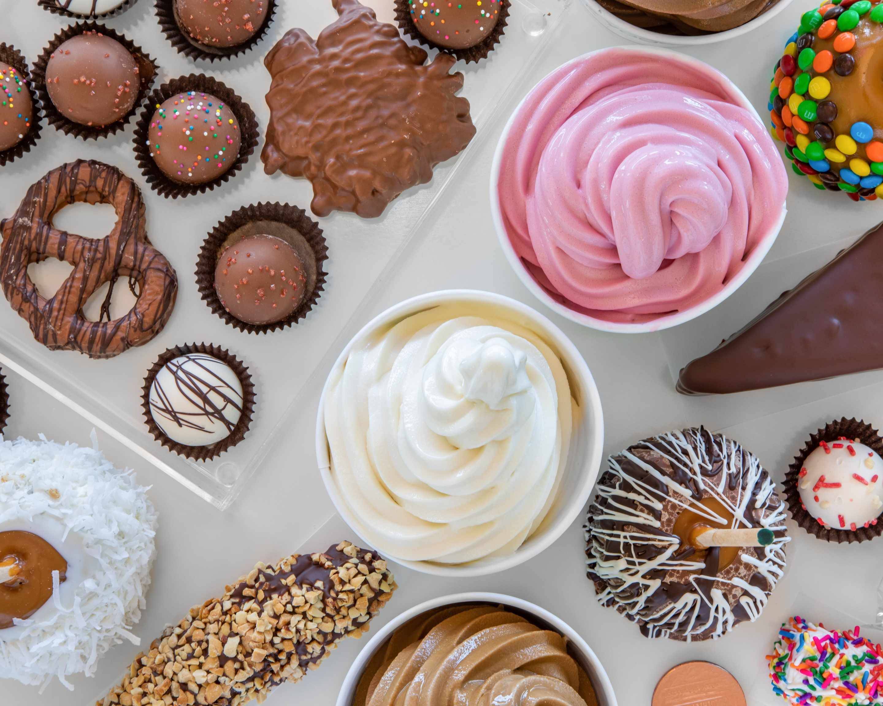 Order Yogurtini/Rock Mountain Chocolate Factory Mesa Menu Delivery