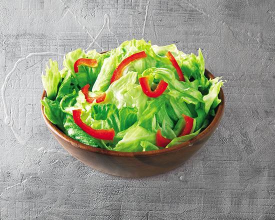 フレッシュ野菜の彩りサラダ Fresh Vegetables Colorful Salad