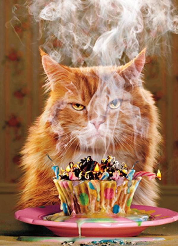 Avanti Card Birthday Birthday Cupcake