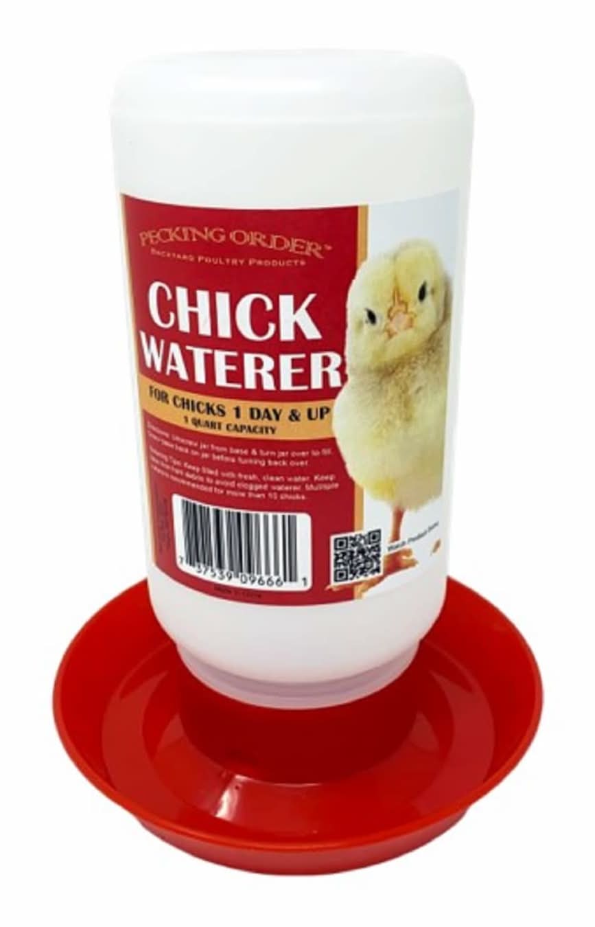 Pecking Order 1 -Count Clear/Red Waterer