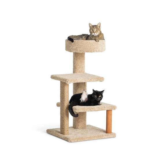 Whisker City Cozy Climber Cat Tower