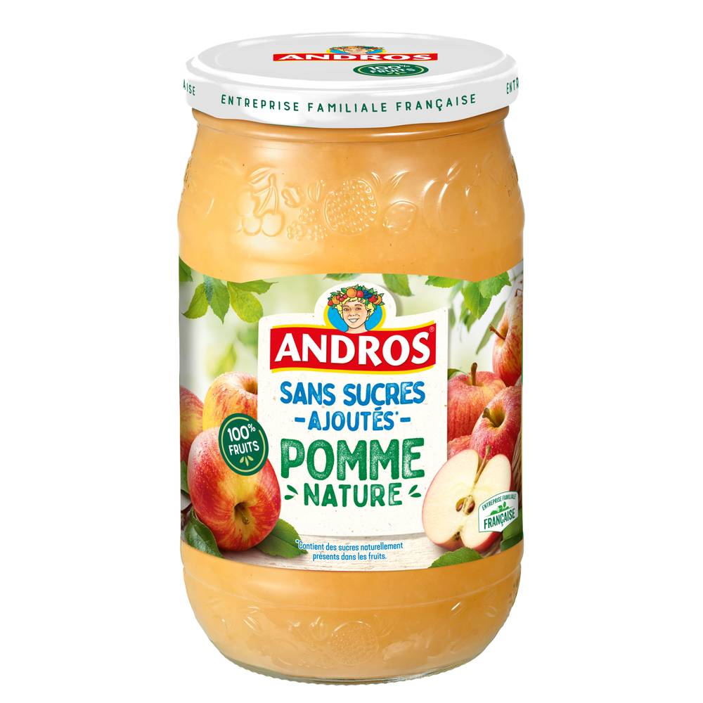 Andros - Dessert pomme nature sans sucres ajoutés (720g)