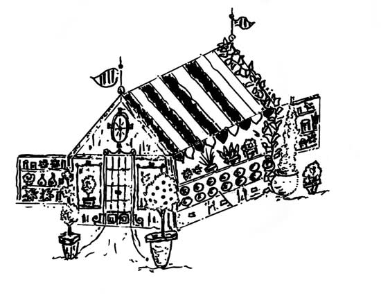 Zoom Bloomz (2600 Northeast 2nd Avenue)