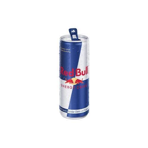 Red Bull 250ml (25ct Pfand)