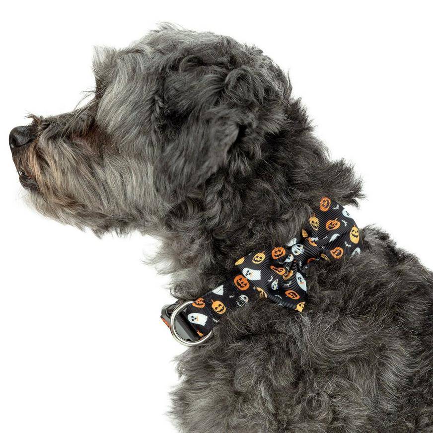 Halloween Icons Bow Tie Dog Collar - Size - M