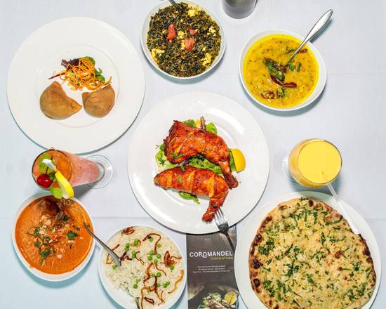 Coromandel Cuisine of India - Orange