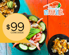 Los Aguashiles Express