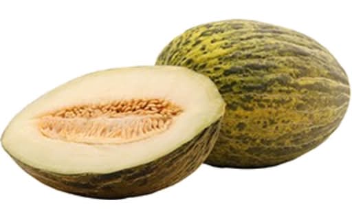 Melon Honeydew Del Sapo