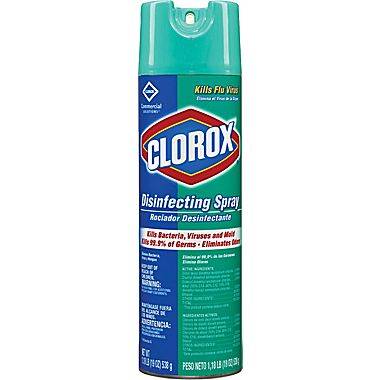 Clorox - Fresh Scent Disinfectant - 12/19 oz Spray