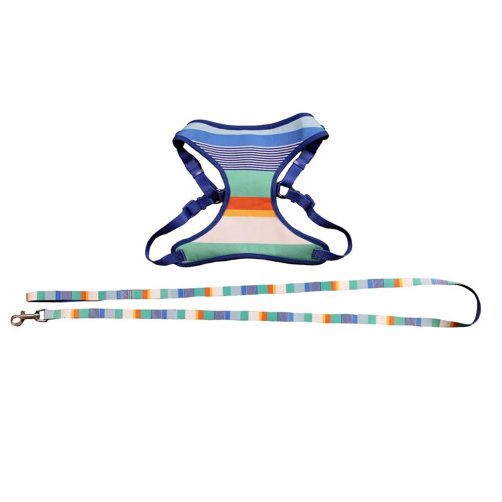 Celebrations Striped Dog Harness & Leash, Assorted Sizes