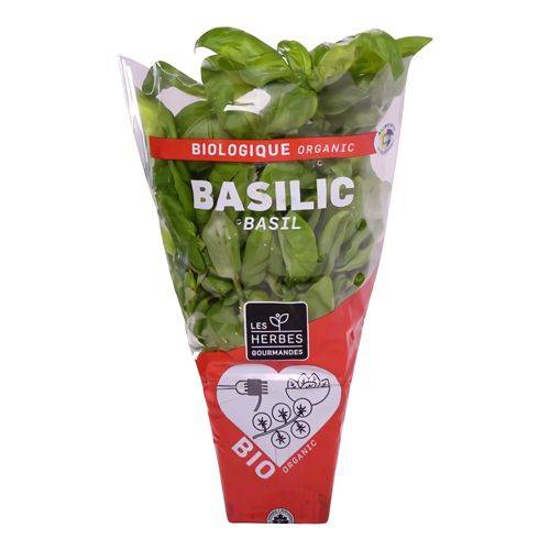 Les herbes gourmandes · Organic basil - Basilic biologique (1 bunch - 1botte)