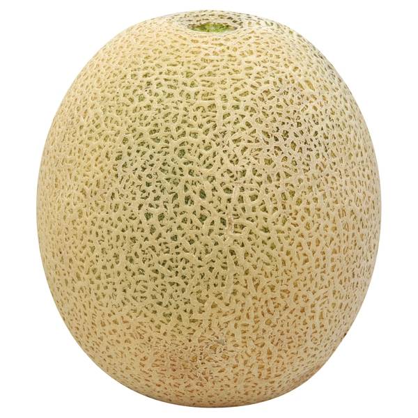 Cantaloupe