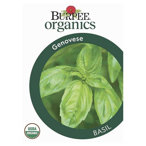 Herb,Basil, Genovese Organic